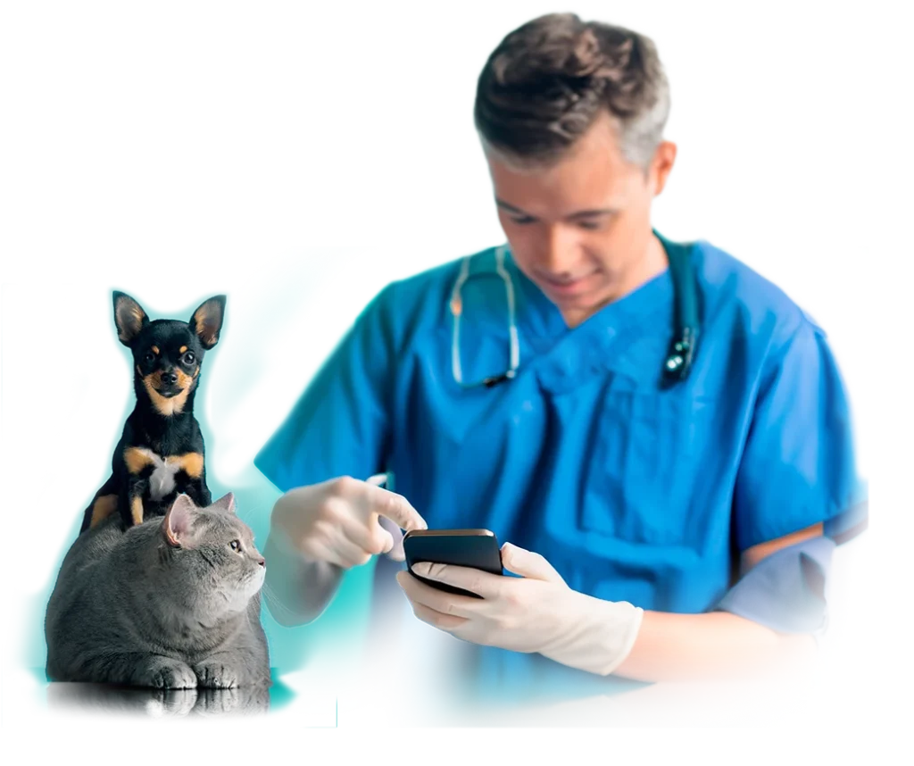 perro encima de un gato y un medico veterinario utilizando una app