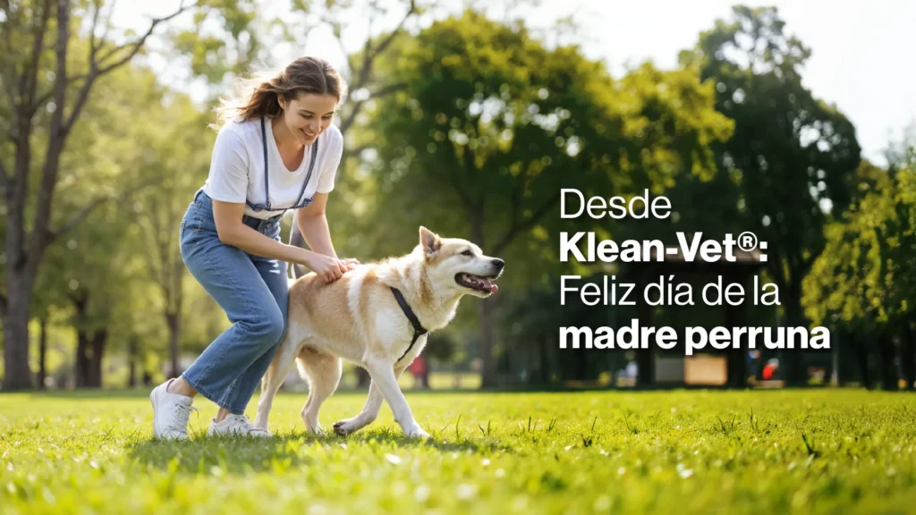 Día de la madre perruna en Colombia