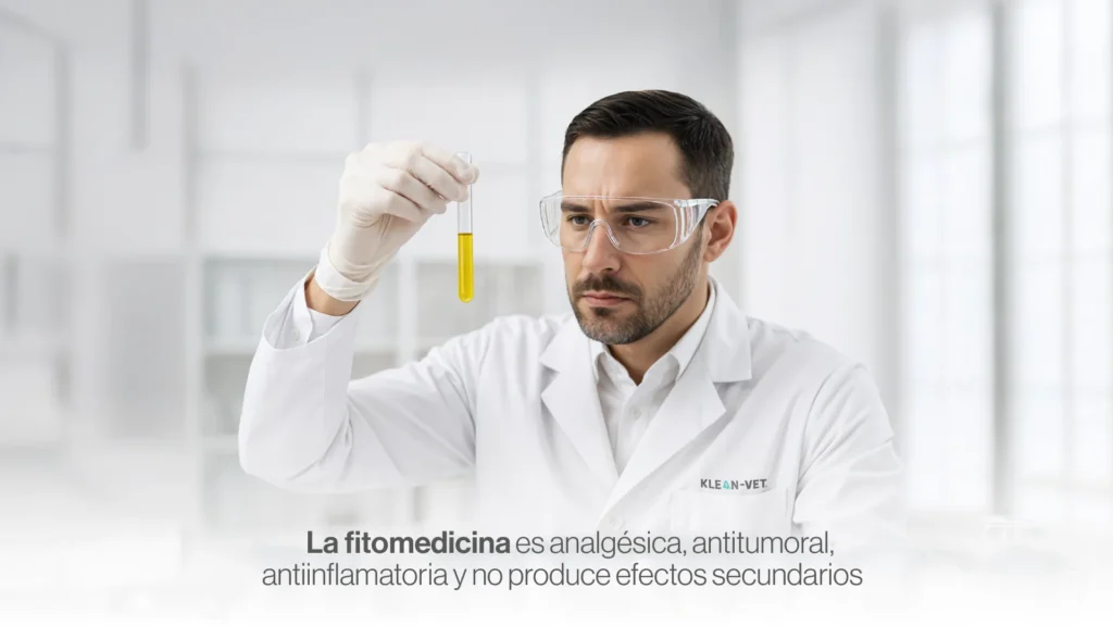 kleanvet y tratamientos y cuidados para perros esterilizados